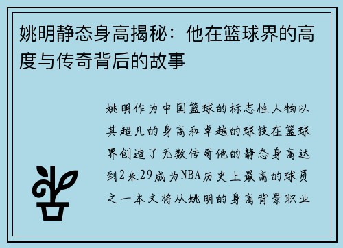 姚明静态身高揭秘：他在篮球界的高度与传奇背后的故事