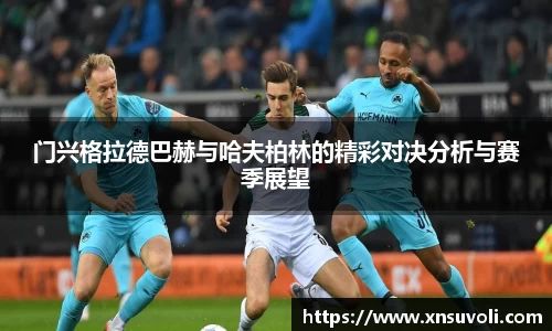 门兴格拉德巴赫与哈夫柏林的精彩对决分析与赛季展望
